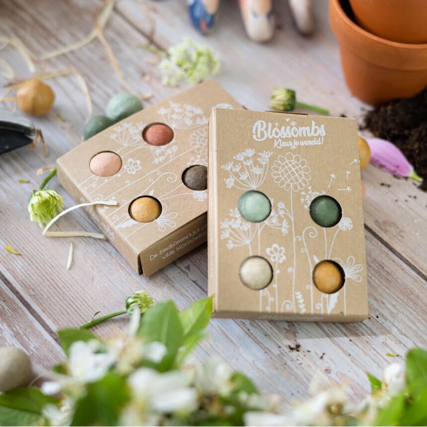 Giftbox mini with 4 Flower Seeds - Wishing You a Colorful Xmas!