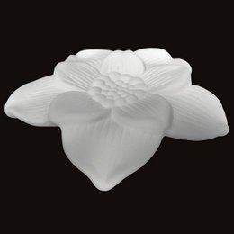 Flower for diffuserby capillarity Narcissus