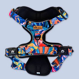 Lagoon Comfort Y-sele