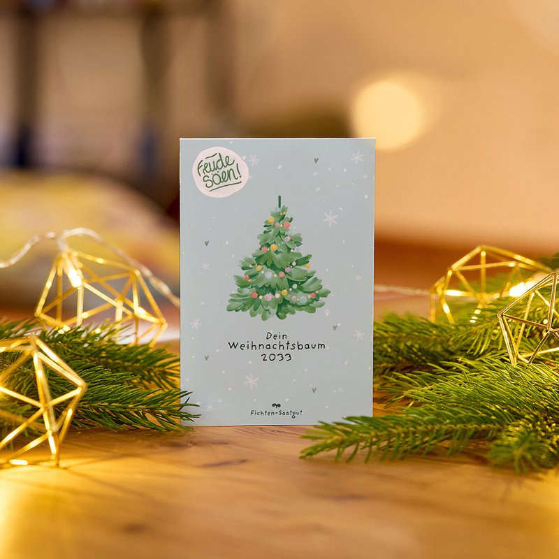 Fichten-Saatgut "Weihnachtsbaum 2033"