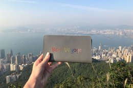 Portfel podróżny Stitch — szary