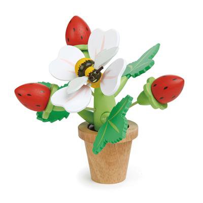 Pot de fleurs avec des fraises
