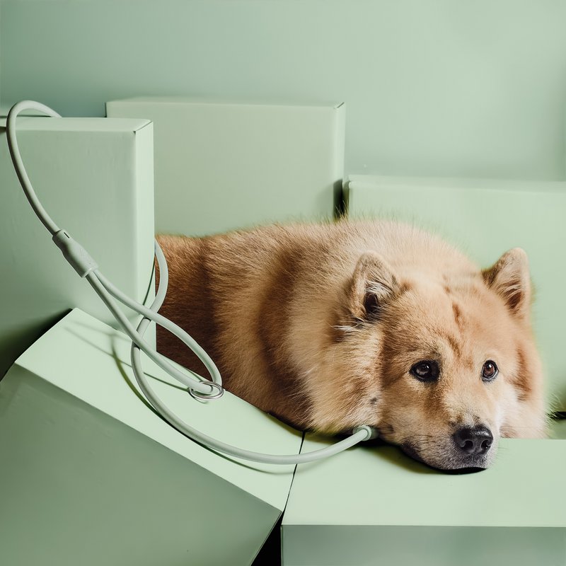 NE & No® Dog Lease "Loft Style" - Weerbestendig