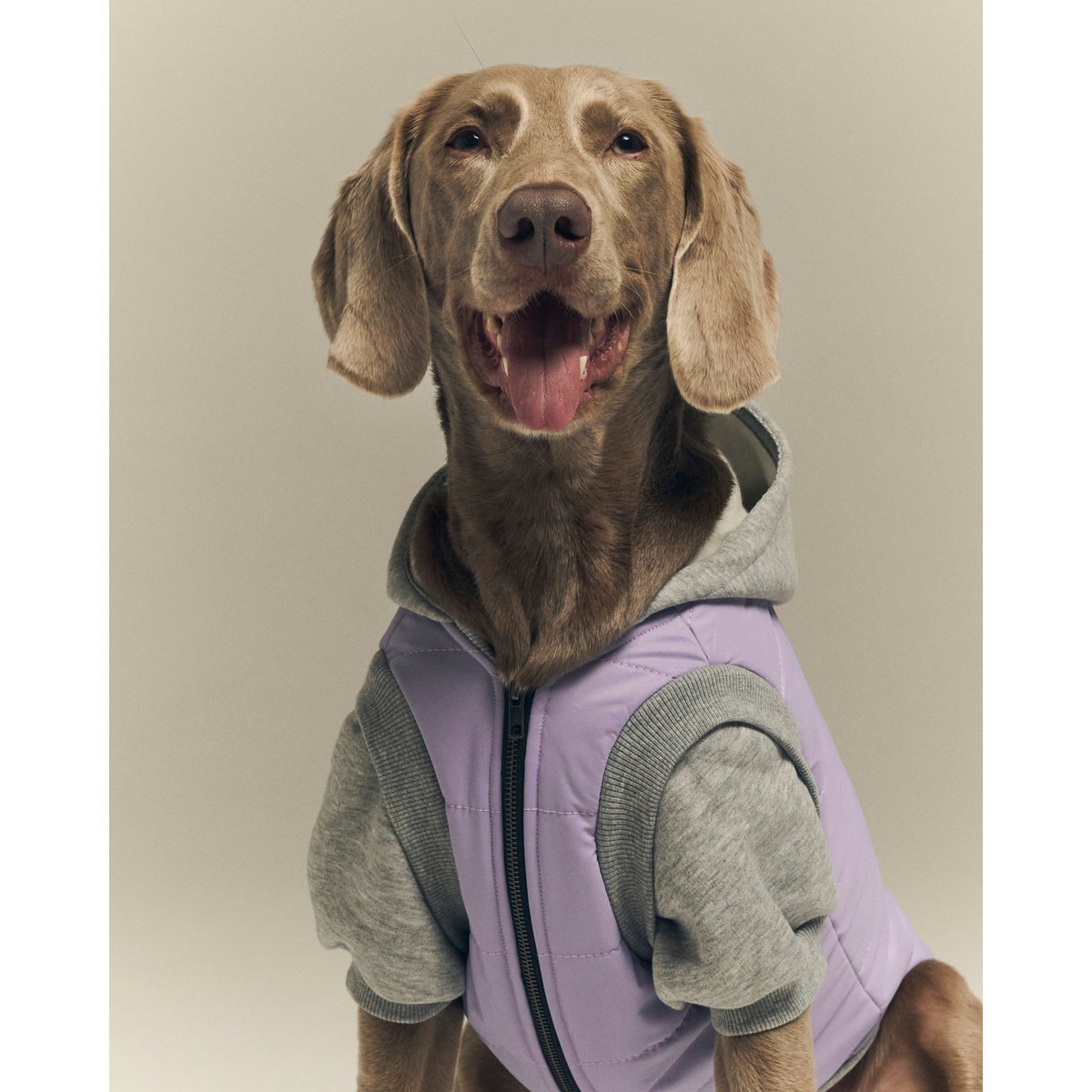 Puffer Pet Jacket - lilla