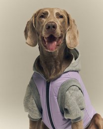 Puffer Pet Jacket - lilla