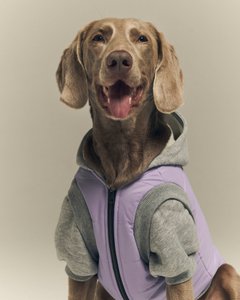 Puffer Pet Jacket - Lilac
