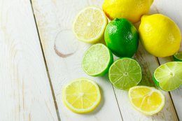Økologisk Lime Lip Balm 15ml