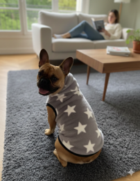 Szara polarowa bluza z kapturem dla psa Alpha Dog (zestaw 5 szt.)
