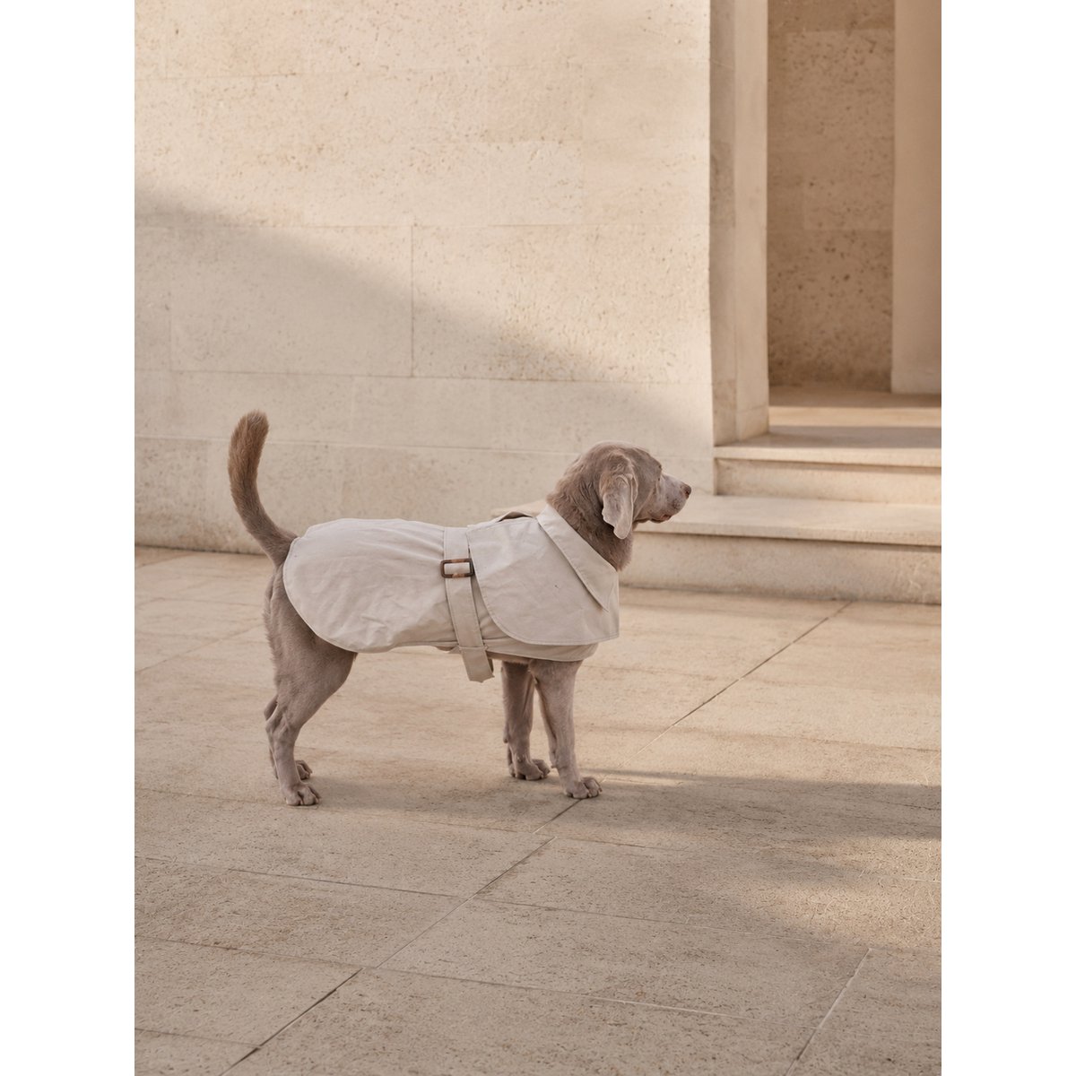 Luxury Waterproof Trenchcoat