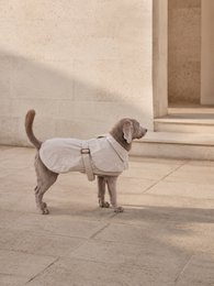 Luxury Waterproof Trenchcoat