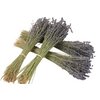 Dried lavender - natural dried flowers