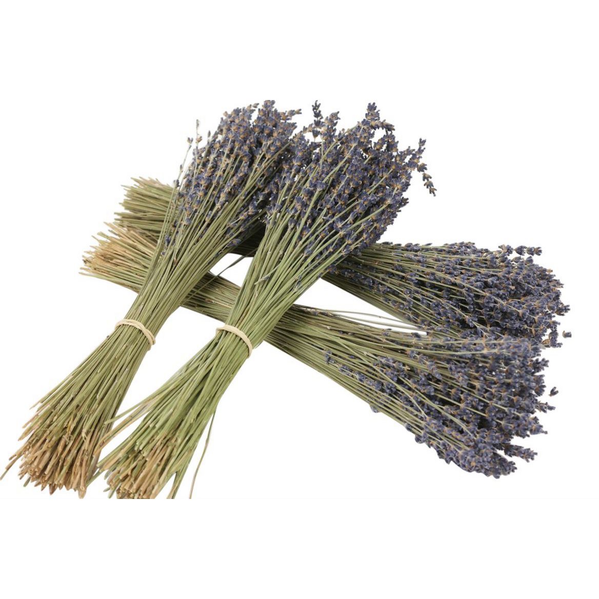 Lavanda secca - fiori secchi naturali