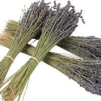 Getrockneter Lavendel - natürliche getrocknete Blüten