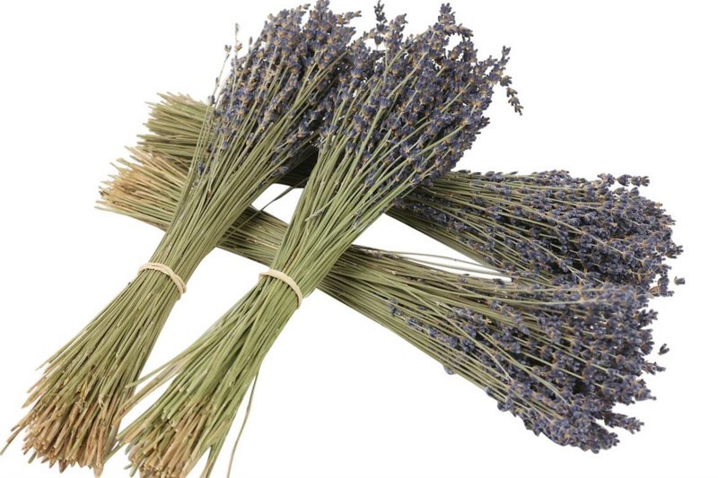 Lavanda secca - fiori secchi naturali
