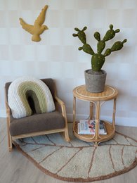 cactus plant