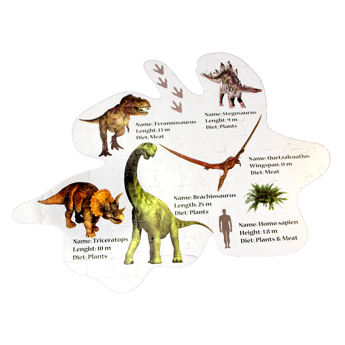 Rompecabezas de piso - Dinosaurios (INT)