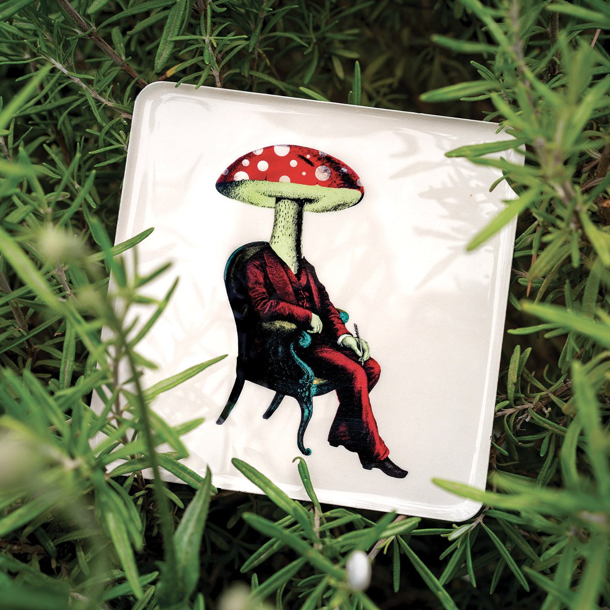 Champiman Trinket Tray