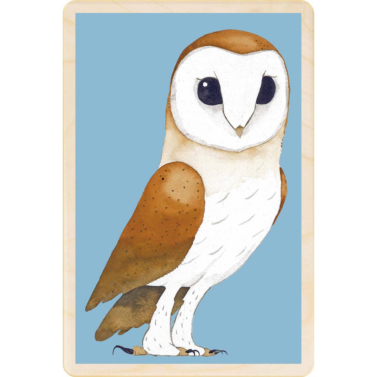 BARN OWL Duurzame houten kort