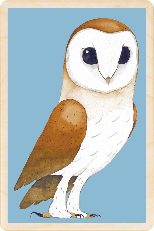 BARN OWL Duurzame houten kort