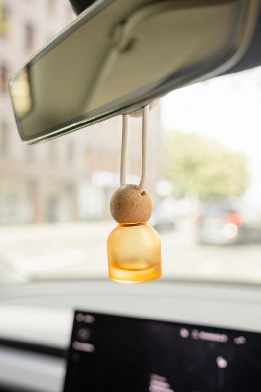Mini profumo per ambiente - diffusore per auto, armadio