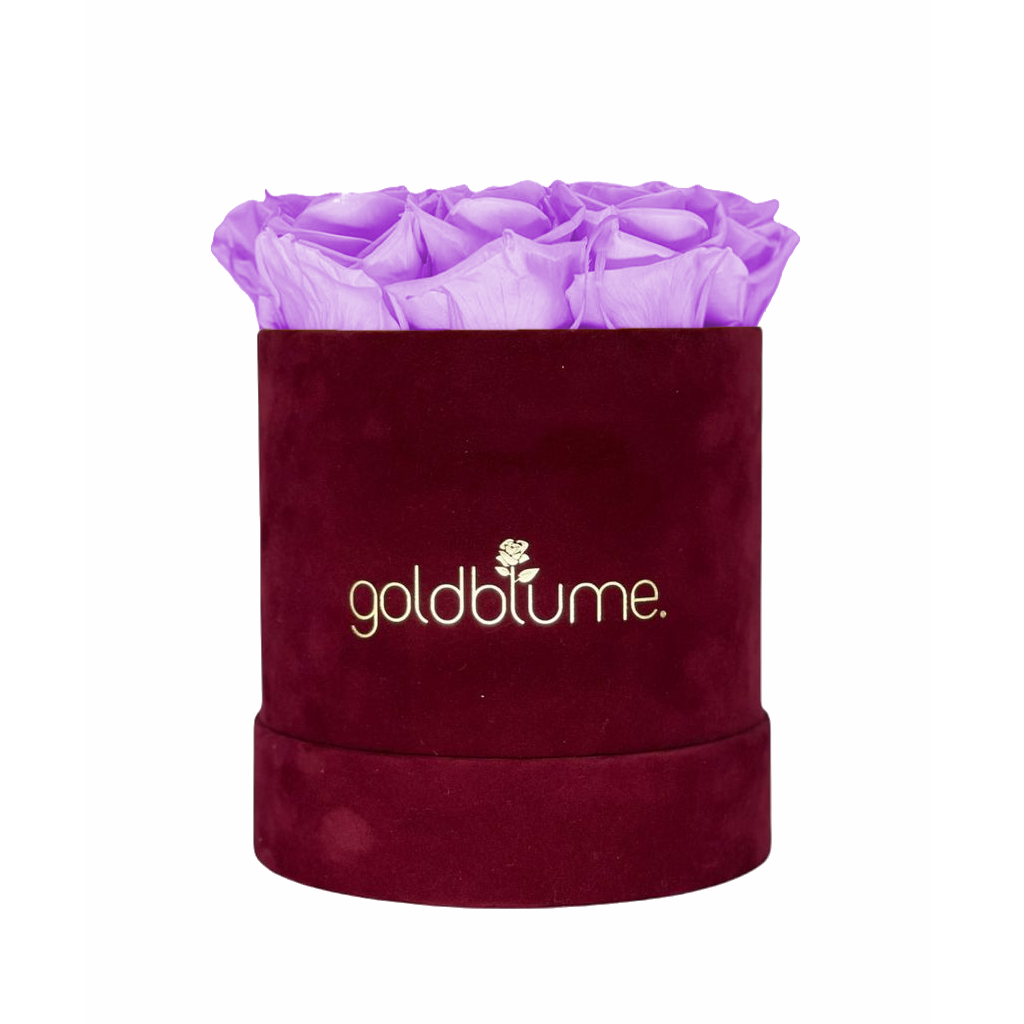 Collection Velours Bordeaux