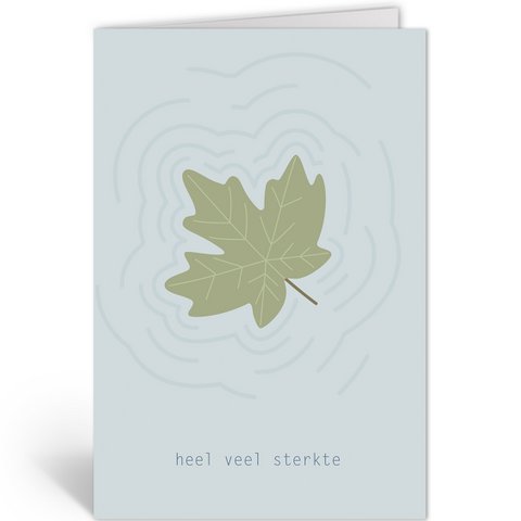 DLN206 - Blad Op Het Water