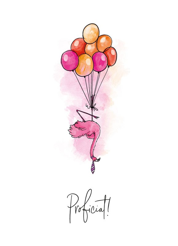 Flamant