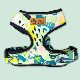 Classic Reef Harness