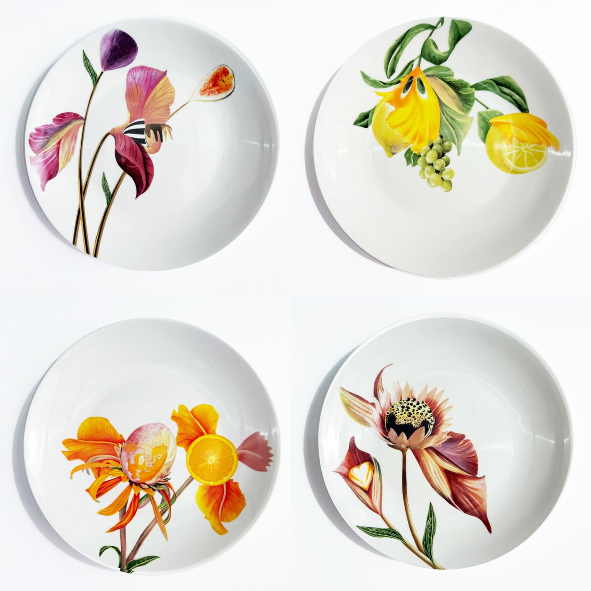 Botanical Wonders - Set of 4 breakfast plates