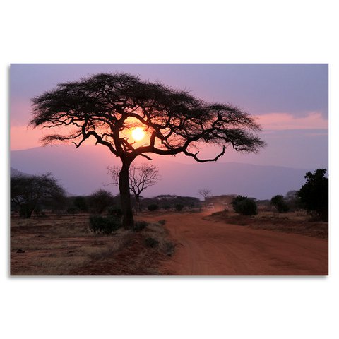 Acrylic glass picture - Sunset