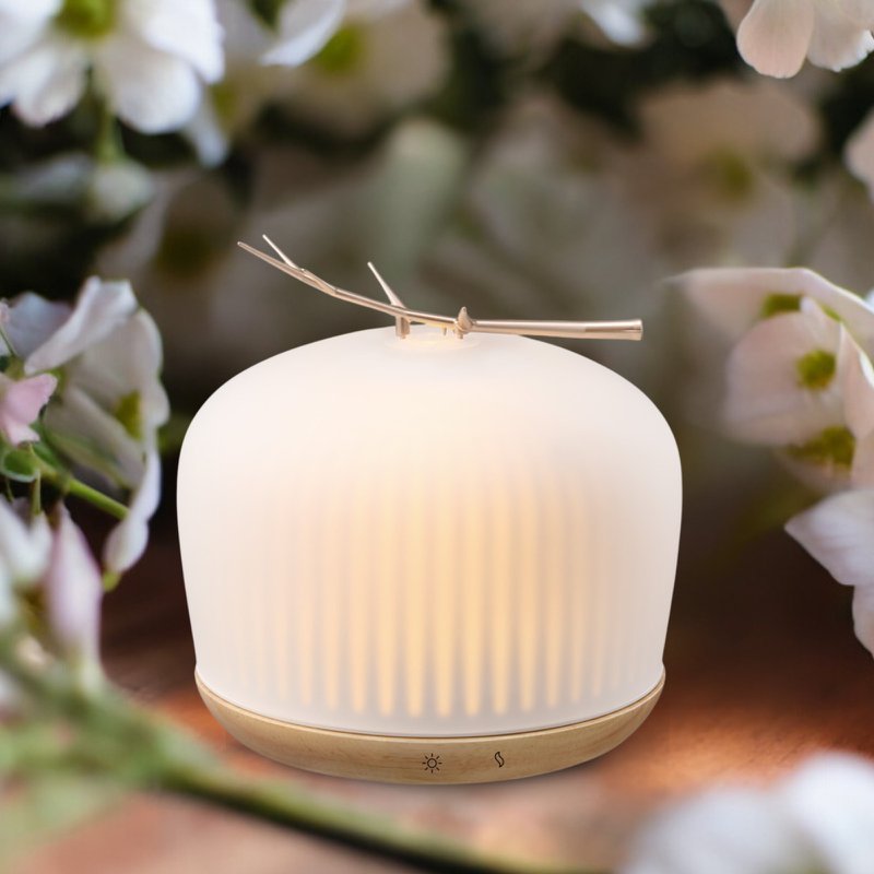 Diffusore olio essenziale di origine - Diffusore ad ultrasuoni per l'aromaterapia e fragranze della camera - in vetro e legno FSC - Idea regalo