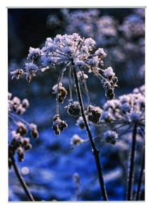 Snow Outdoor TextilPoster Fotodruck 95x130cm