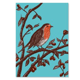Posters | robin