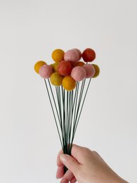 Viltbloem Crespedia