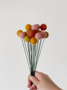 Viltbloem Crespedia