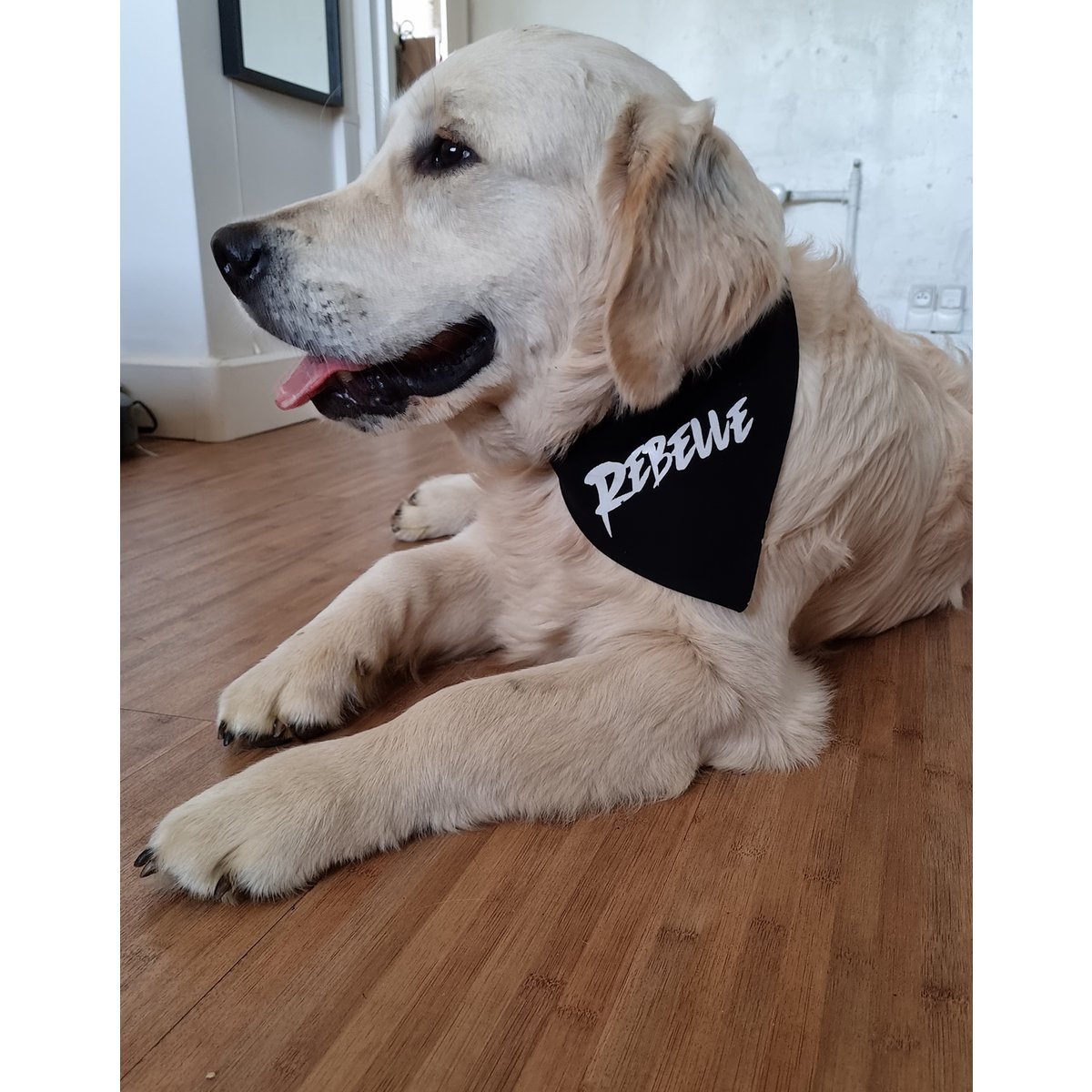 Zwart-witte "rebel" omkeerbare bandana