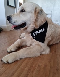 Black and white "rebel" reversible bandana