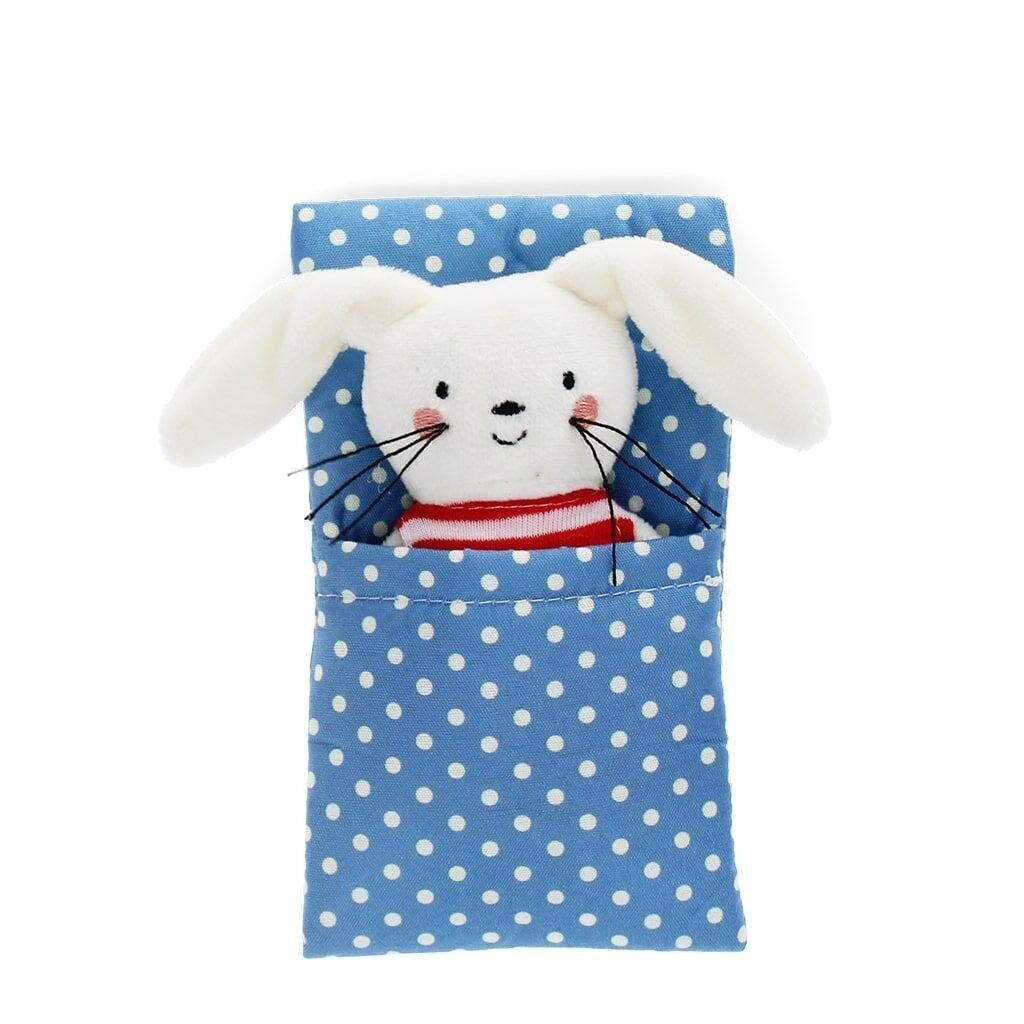 Mini lapin dans une petite boîte