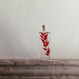 H-17cm red