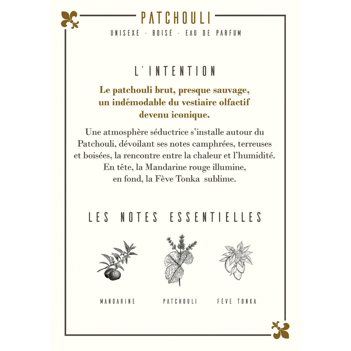 Patchouli Eau de Parfum 100ml