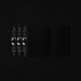 EARTH TOTEM GRAPH Blackout Journal
