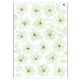 Muursticker aquarel kersenbloesem