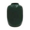 Vaas - Artic bright green