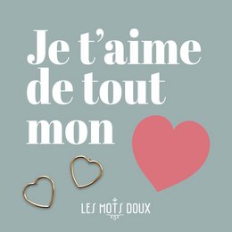  Heart-shaped stud earrings with a romantic French phrase "Je t'aime de tout mon coeur" (I love you with all my heart).
