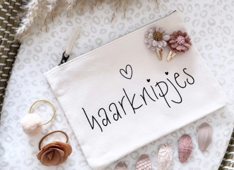 Hair clips case