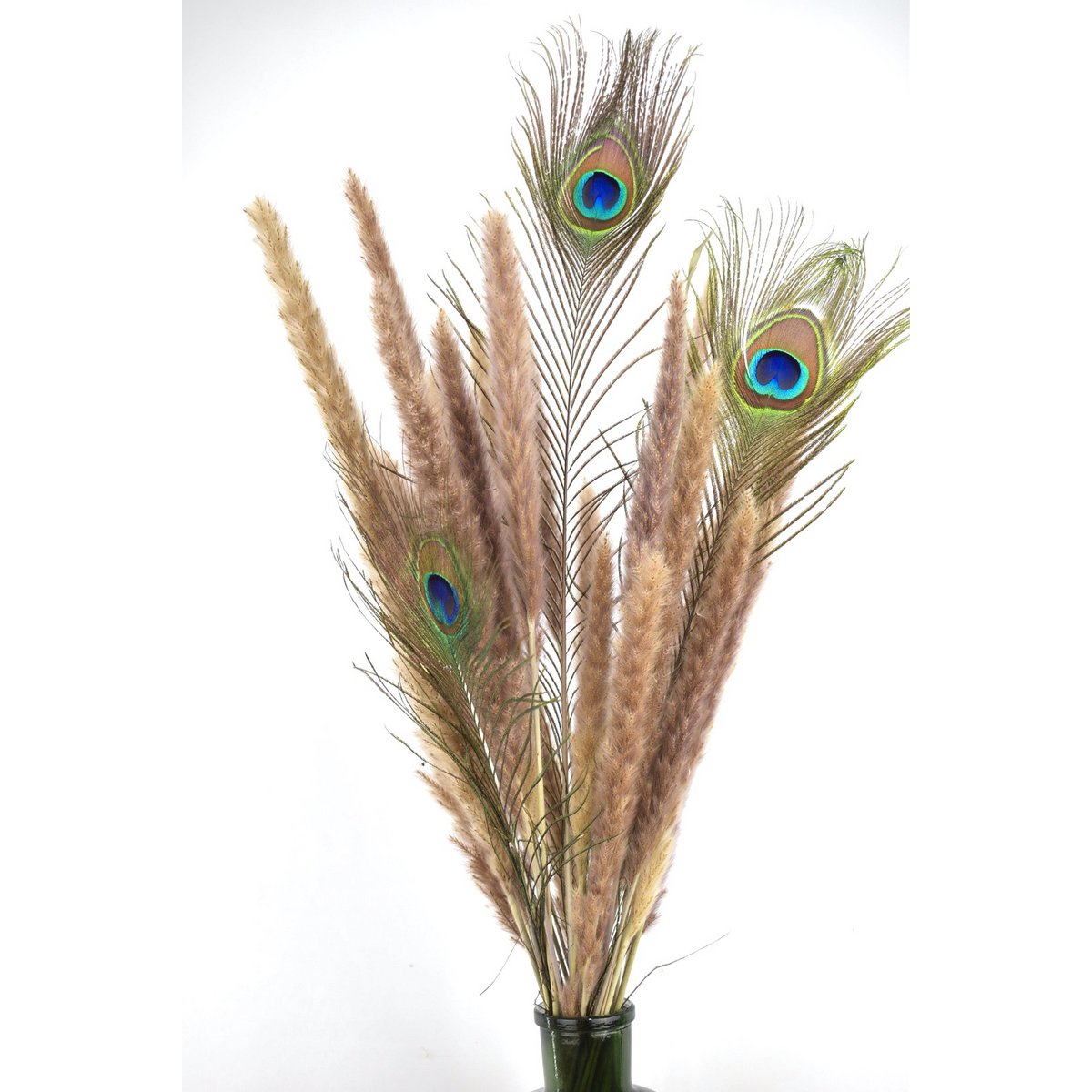 Fleurs séchées - Bouquet de pampa - 70 cm