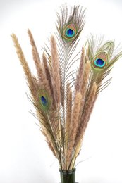 Suszone Kwiaty - Bukiet Pampasowy - 70 cm