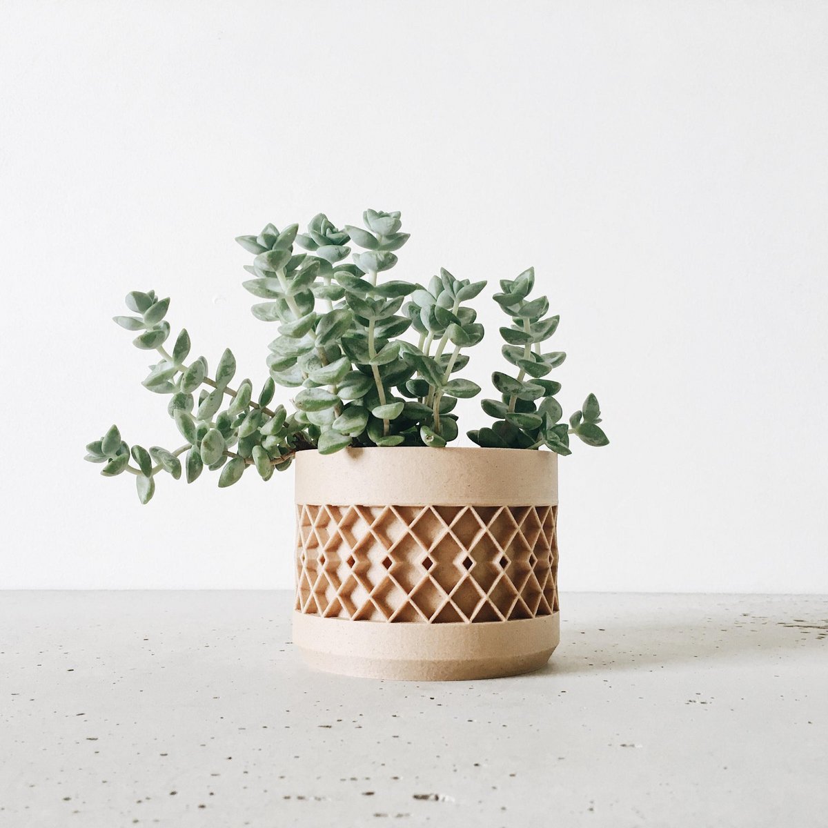 Natural Wood M - 8.5cm inner diameter