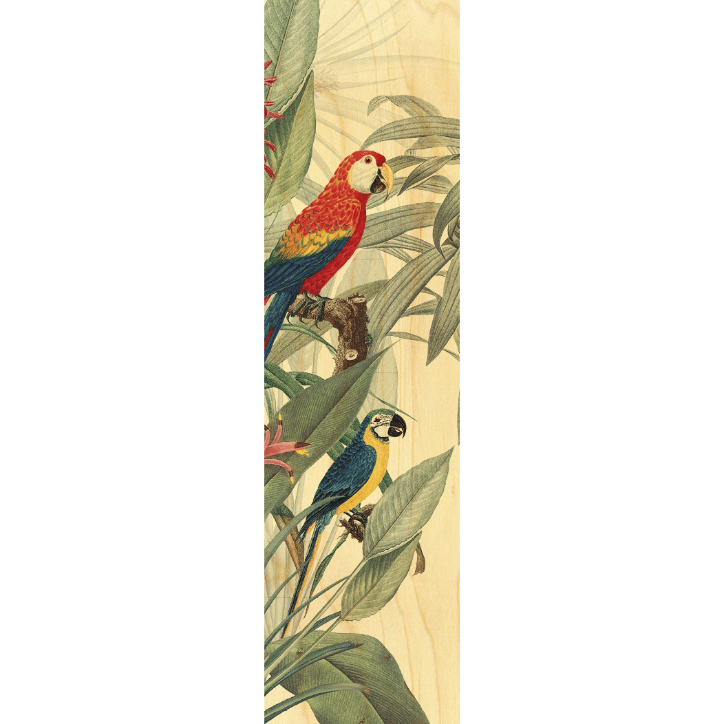WOODEN PAGE MARK BIRDS PARROTS