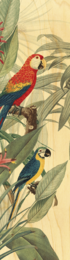 WOODEN PAGE MARK BIRDS PARROTS